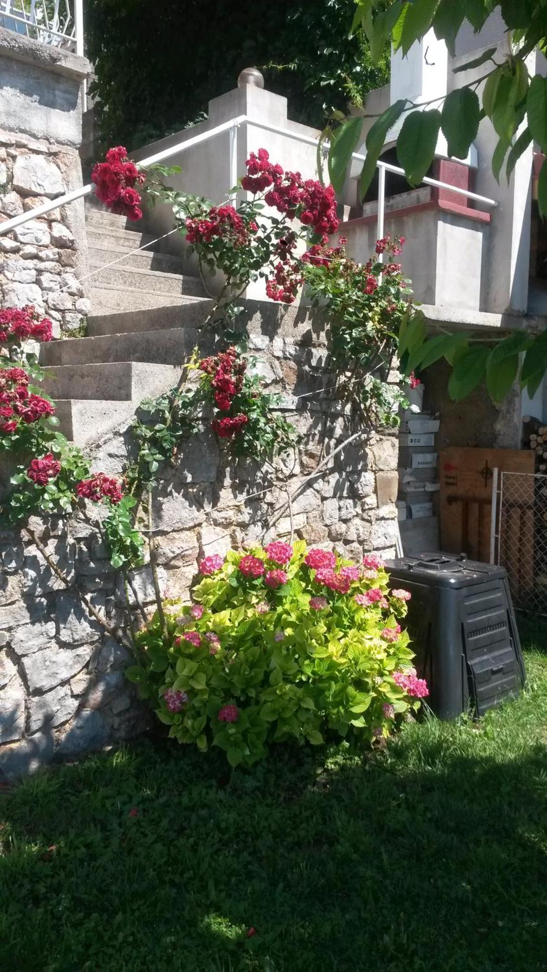 Silvana&vera Apartmán Senj (Lika-Senj)
